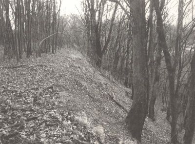 Rzeszowski rezerwat LISIA G&Oacute;RA